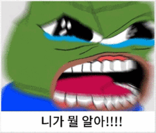 페페 니가뭘알아 짤방